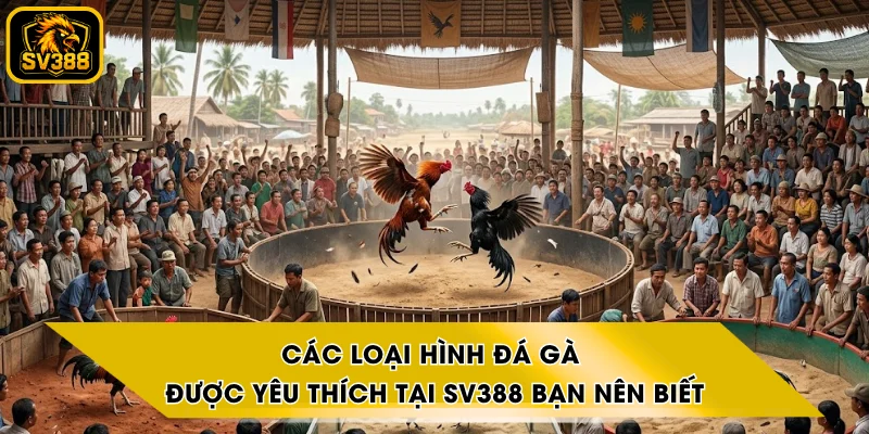 Các Loại Hình Đá Gà Được Yêu Thích Tại SV388 Bạn Nên Biết