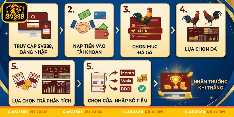 Hướng dẫn tham gia cá cược đá gà SV388 từ a – z