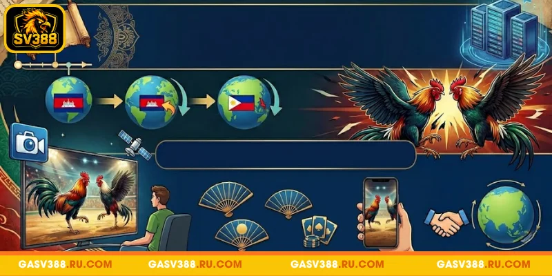 Khám phá chuyên mục đá gà SV388