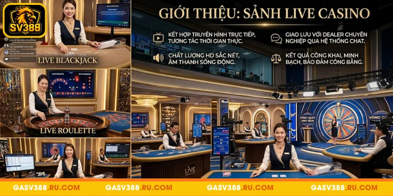 Live Casino được phát sóng trực tiếp từ sòng bạc