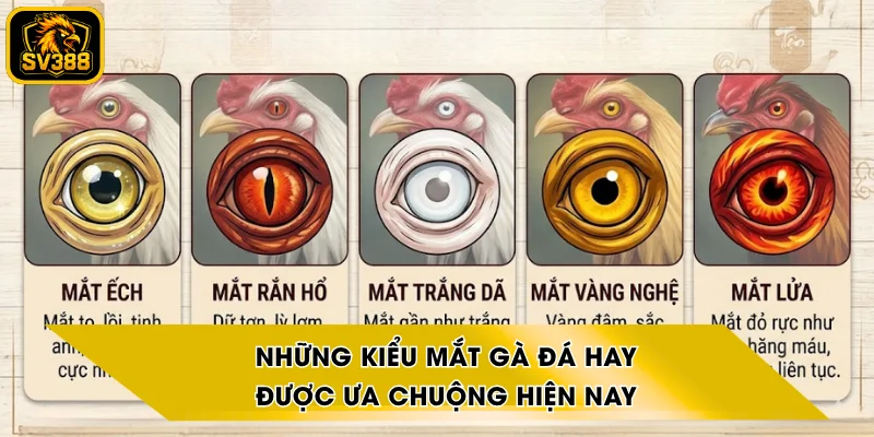 Những Kiểu Mắt Gà Đá Hay Được Ưa Chuộng Hiện Nay