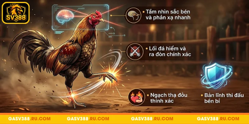 Những yếu tố tạo nên sức hút của gà mắt rắn